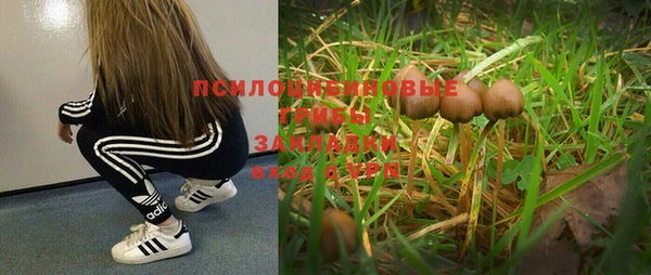 бошки Кукмор