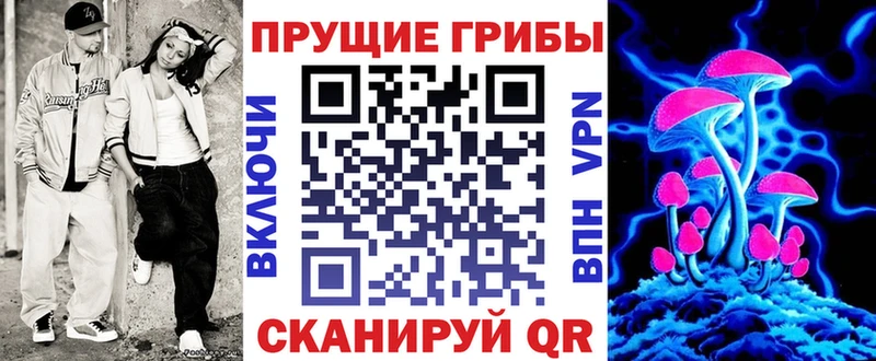 Псилоцибиновые грибы Cubensis  где купить наркотик  ОМГ ОМГ онион  Дигора 